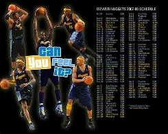 9495赛季足总杯决赛