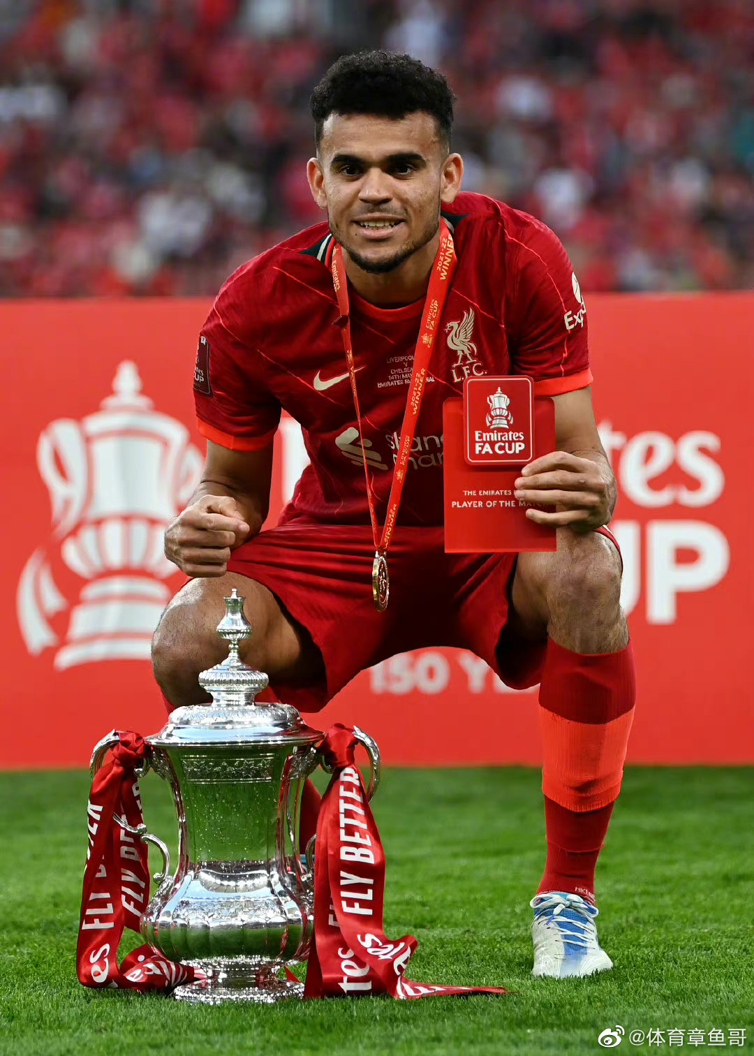 热刺最新伤停情况表