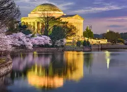 阳光灿烂周三强最后太惨了