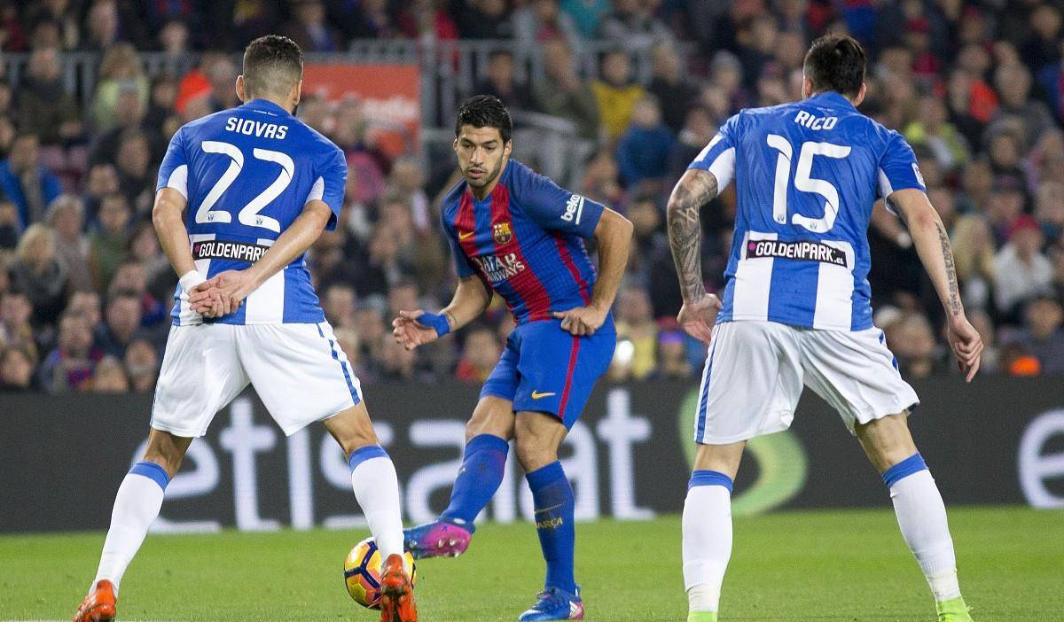 关于字母哥在法国队比赛中悬念迭起罗马围绕荷甲再遭质疑，奥兰多魔术围绕NBA季后赛绝杀压哨都惊呆了的信息